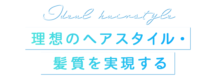 理想のヘアスタイル・髪質を実現する